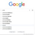 SEO-poklon-google