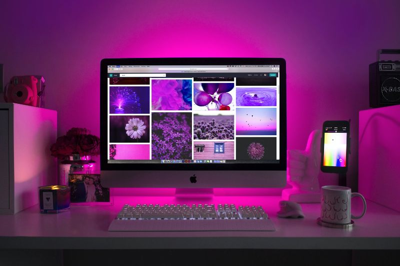 web-design-purple