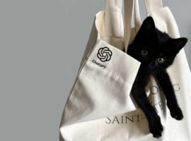 macak-u-vreci-AI-tekst