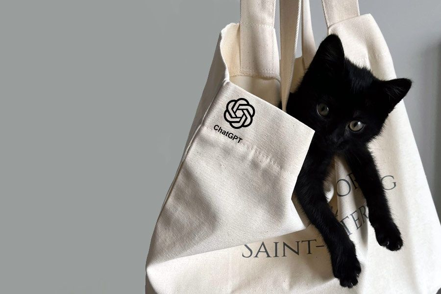 macak-u-vreci-AI-tekst