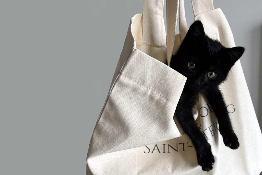 AI-alati.tekstovi.macak-u-vreci