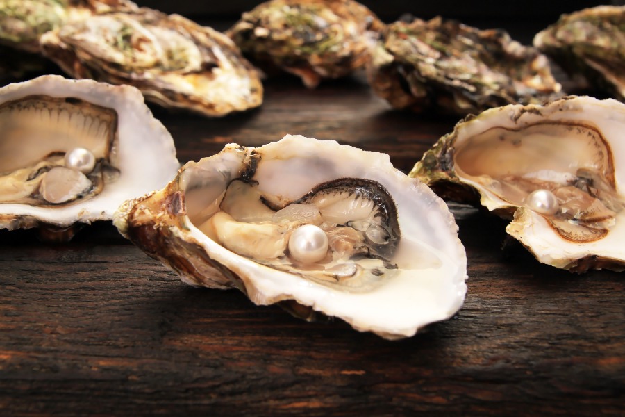 oyster-pearl-luxury-longevity